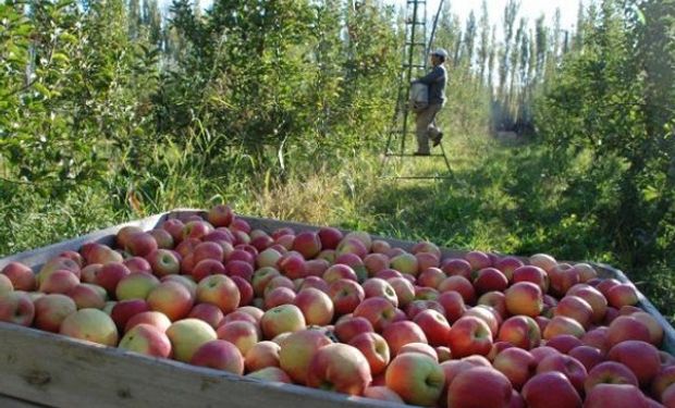 Río Negro, Neuquén y Mendoza son las provincias más afectadas.