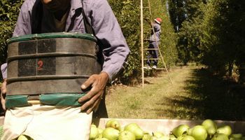 Preocupación en sector frutícola: vuelven a reclamar ayuda oficial