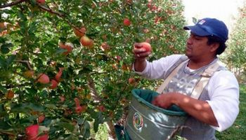 Duras críticas de fruticultores del Alto Valle al ministro Cabrera