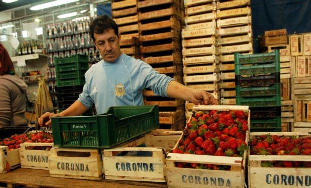 Ingresó frutilla de China y Marruecos.