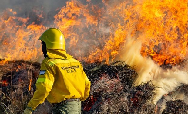 Incendios: el Gobierno declara la emergencia ígnea en todo el país
