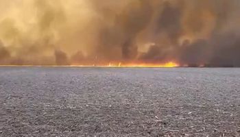 Incendios en Córdoba: el fuego llegó a los campos y zonas serranas