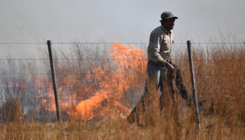 Incendio en Corrientes: el fuego no da tregua y deja dramáticos relatos de productores