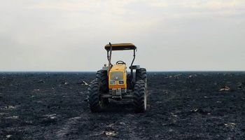 La soledad de un productor frente al incendio en Corrientes: "Da una tristeza gigantesca"