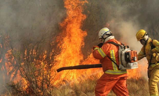 Ley Manejo del Fuego: obtuvo dictamen el proyecto que impone limitaciones a las zonas agrícolas incendiadas