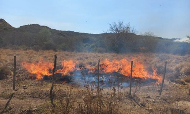 Alerta por incendios: hay seis provincias con focos activos