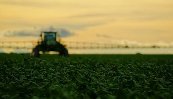 Las condiciones del éxito, también en el campo