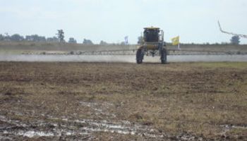 Lo que faltaba: en el último año el precio de importación del glifosato subió un 45%