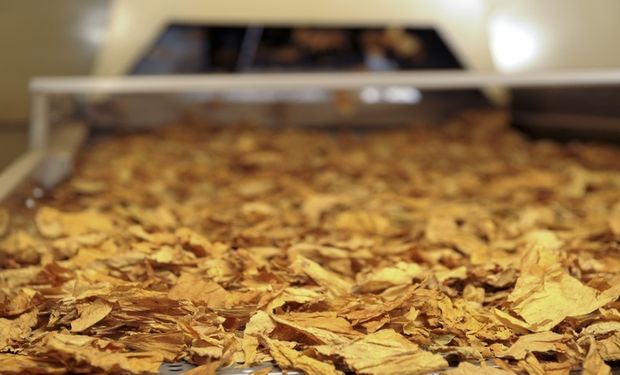 Tarifas de Trump devem afetar tabaco brasileiro só em 2026