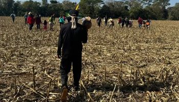 Paraná cobra governo federal por solução dos conflitos agrários: “ambiente muito hostil”