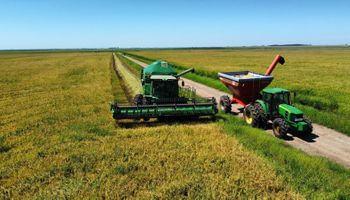 Fundo do Agro: Rio Grande do Sul pode criar modelo inédito de crédito e seguro rural