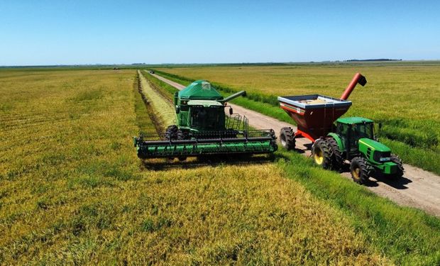 Fundo do Agro: Rio Grande do Sul pode criar modelo inédito de crédito e seguro rural