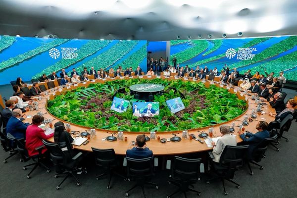 fundo-florestal-criado-brasil-principe-william-cop30