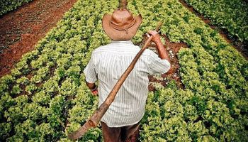 Fundo Garantidor: o que governo ainda negocia para destravar pacote ao agro