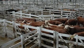 La falta de terminación condicionó los precios