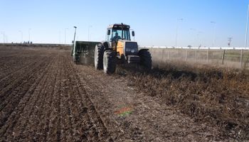 La estrategia es sembrar rápido: el trigo tiene el mayor progreso de implantación de los últimos 5 años