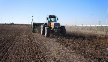 Trigo: se superó el 80 % de implantación en el centro norte de Santa Fe y comenzó la siembra de ciclo corto