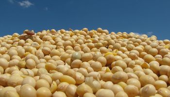 Lo que hay que saber en el campo hoy