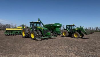 El cultivo que le compite a la soja con una competitividad inusual: deja un margen neto de US$ 165,6 por hectárea contra US$ 15,8 de la soja