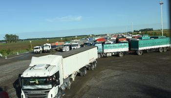 El maíz argentino bate récords de embarque y apenas se cosechó el 30%: el precio se recupera rumbo a los US$ 200 la tonelada