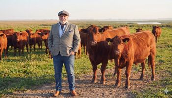 Cómo es el proyecto ganadero del fundador de Cardón y dueño de Pampero que apuesta al Angus Colorado y hasta lanza ropa especial de la raza