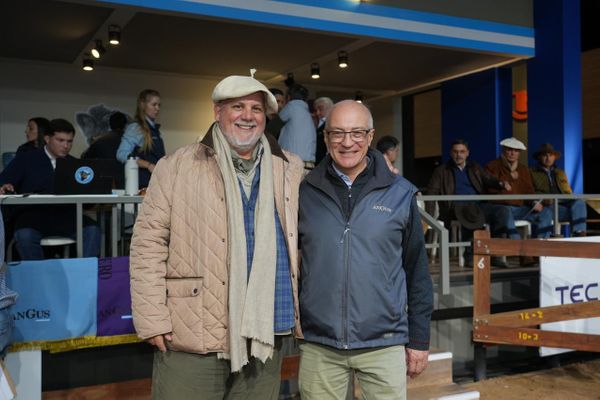 gabo nazar y amadeo derito