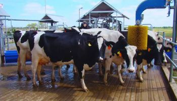 Hasta 30.000 litros de leche por hectárea: afirman que el uso de la robótica puede triplicar la producción láctea