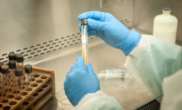 El INTA puso a disposición ocho laboratorios para hacer el diagnóstico de coronavirus