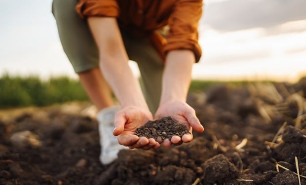 Bayer y fyoFoods se unen para promover la producción sustentable de cultivos de  especialidades: "Nuestra meta es nutrir al mundo de forma responsable, sustentable y segura"