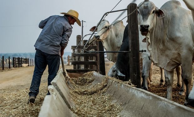 Projeto fala em taxas de juros mais competitivas para os produtores rurais. (Foto - Christiano Antonucci/Secom-MT)