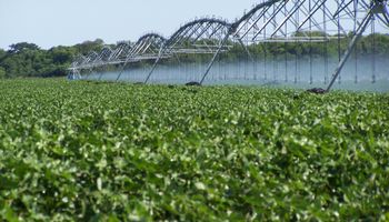 El riego se sumó para estabilizar rendimientos y mejorar la producción