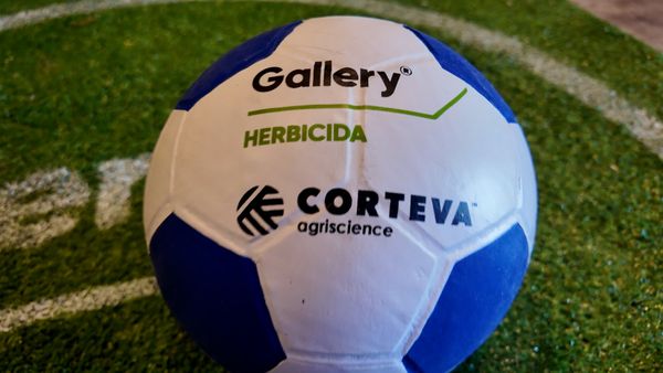 pelota de gallery de corteva