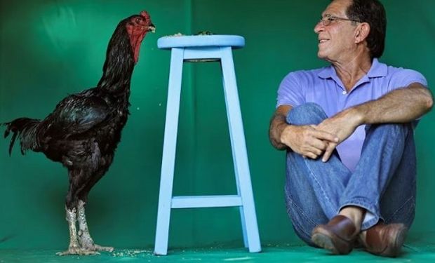 Rubens Braz cria animais de até 1,20 metro que chegam a ser vendidos por R$ 20 mil cada. (foto: Reuters)