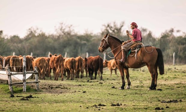 Aumentan un 15 % la prestación por desempleo para los trabajadores rurales a partir de marzo