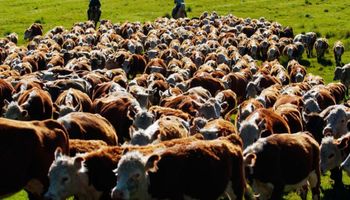 En La Rural, las entidades del agro presentaron sus propuestas para la ganadería 