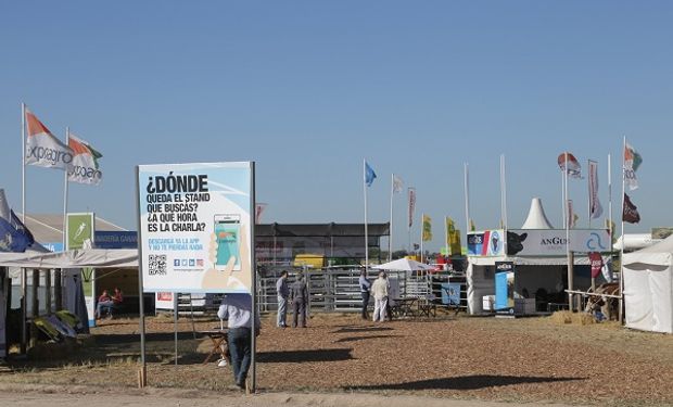 Amplia grilla ganadera en Expoagro 2019.