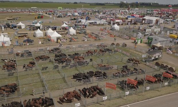 Expoagro 2020 edición YPF Agro continúa potenciando la cadena de ganados y carnes.