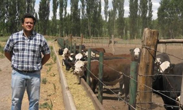 En la ganadería, Francisco Pili contó que el objetivo es encerrar dos ciclos de 400 animales.