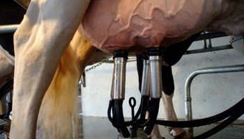 Detalles de la modificación del régimen de retención para leche fluida sin procesar