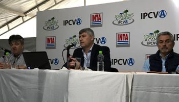 "El mundo demanda carne argentina"