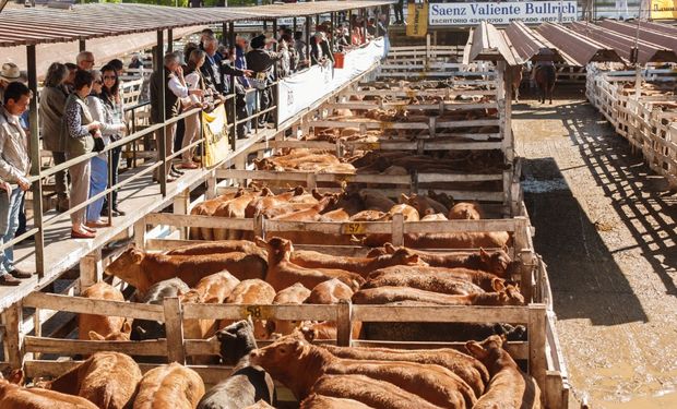 Ingresos reducidos en los mercados ganaderos.