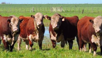 El valor de la información genética: por qué debe ser mejor aprovechado en ganadería