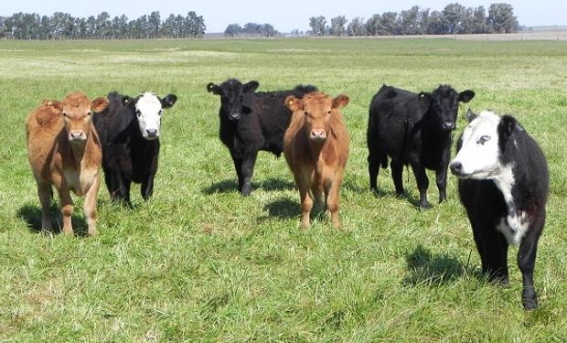 Por los ajustados números de la agricultura, anticipan un mayor interés por entrar al negocio ganadero