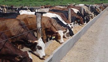 Carne: la región se prepara para ser líder mundial