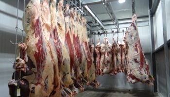 Con un nuevo concepto de "postventa ganadera" buscan redefinir el negocio de la carne: "Queremos que el productor tenga información clara y detallada de lo que sucede con su hacienda"