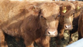"Hay productores con ganas de crecer"