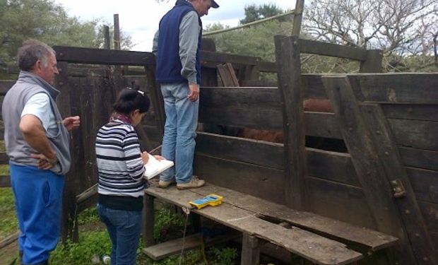 La suplementación fue decisiva para que el ganado bovino aumente de peso diariamente, crezca en su carga animal y avance en productividad.