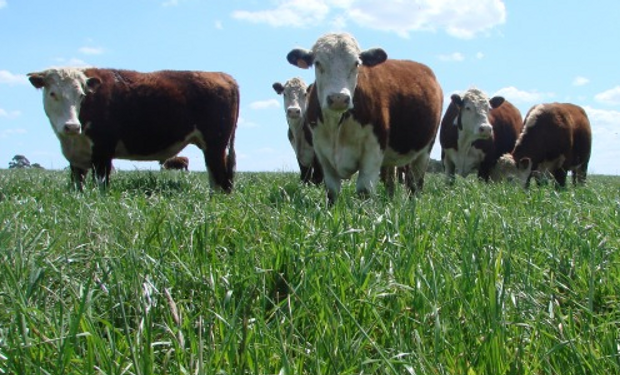 Es fundamental alcanzar la Frontera Productiva para satisfacer una demanda mundial de proteína animal creciente.