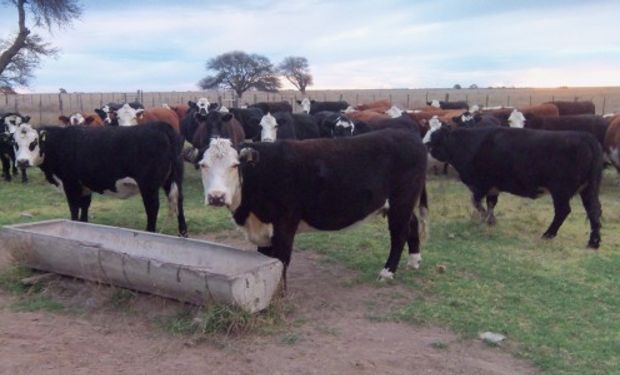 Del 7 al 9 de octubre, la agroecología tiene su lugar en el V Congreso Latinoamericano que se realiza en La Plata.