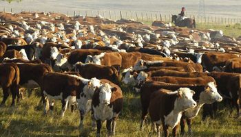 La contraofensiva de la ganadería tiene un nuevo capítulo en Olavarría